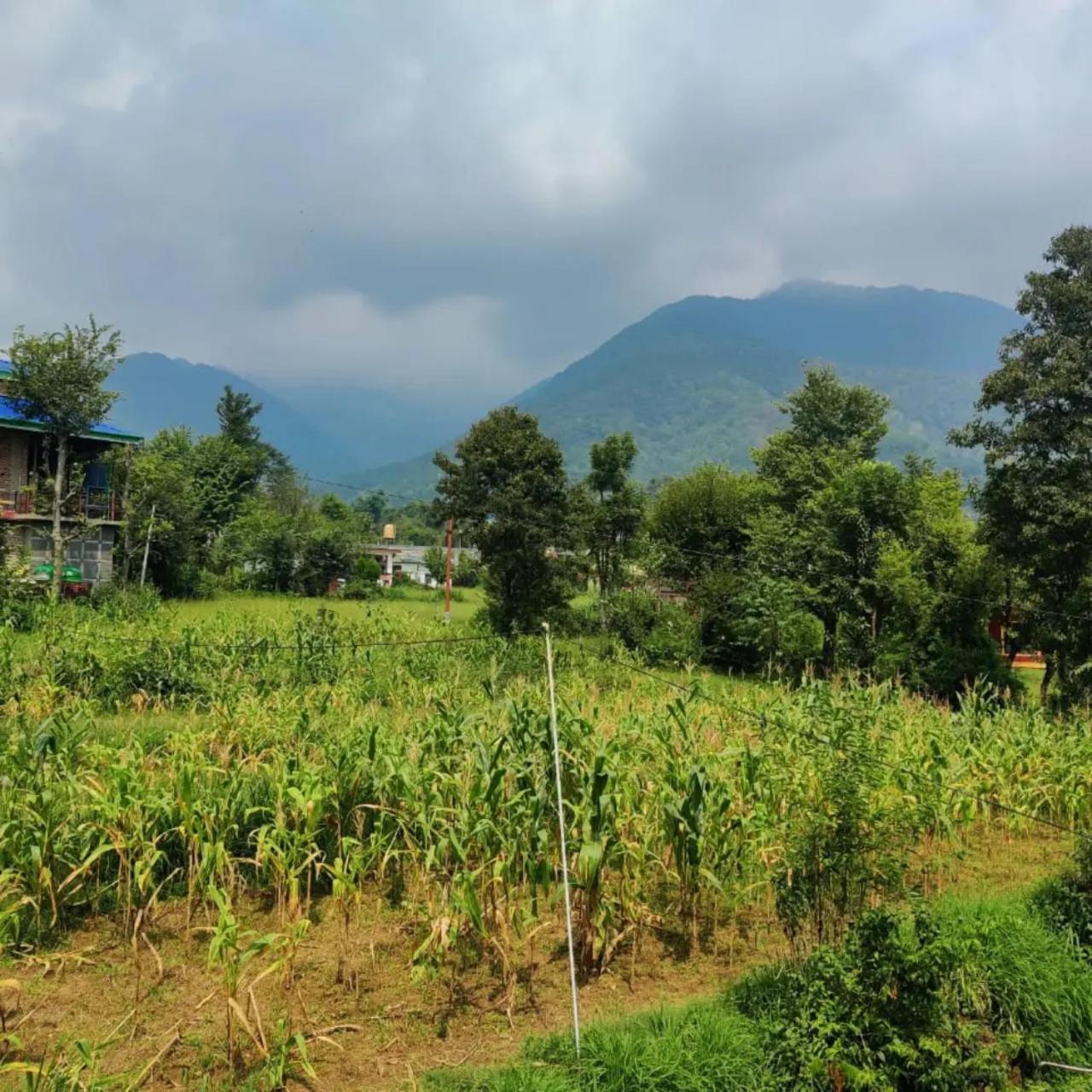 Aditya Homestay Bir-Billing Surrounded By Mountains Luaran gambar