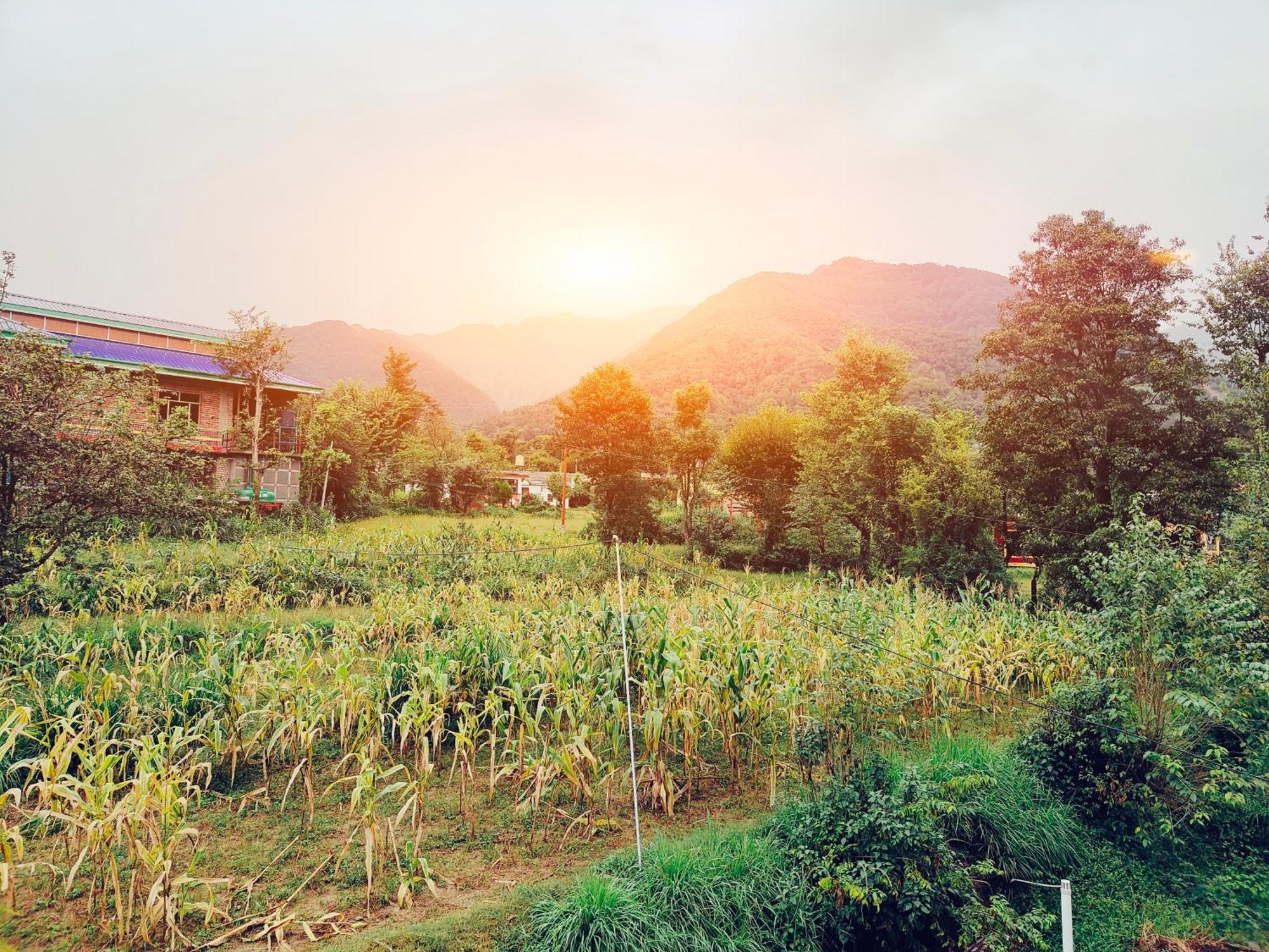Aditya Homestay Bir-Billing Surrounded By Mountains Luaran gambar